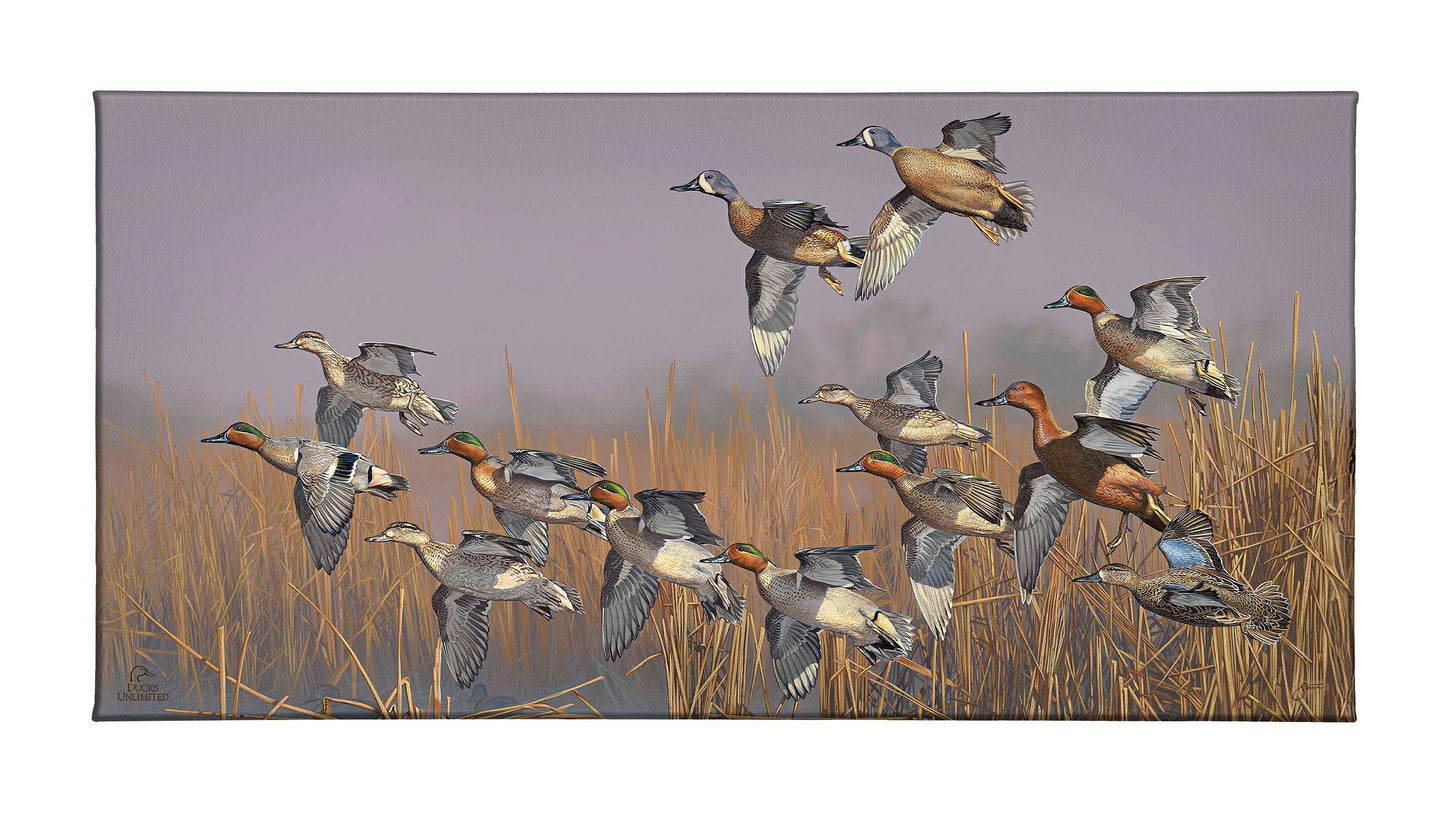 Teal Time Gallery Wrapped Canvas - Official Ducks Unlimited Art