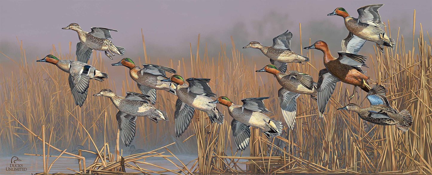 Teal Time 12" x 30" Wood Sign - Official Ducks Unlimited Art
