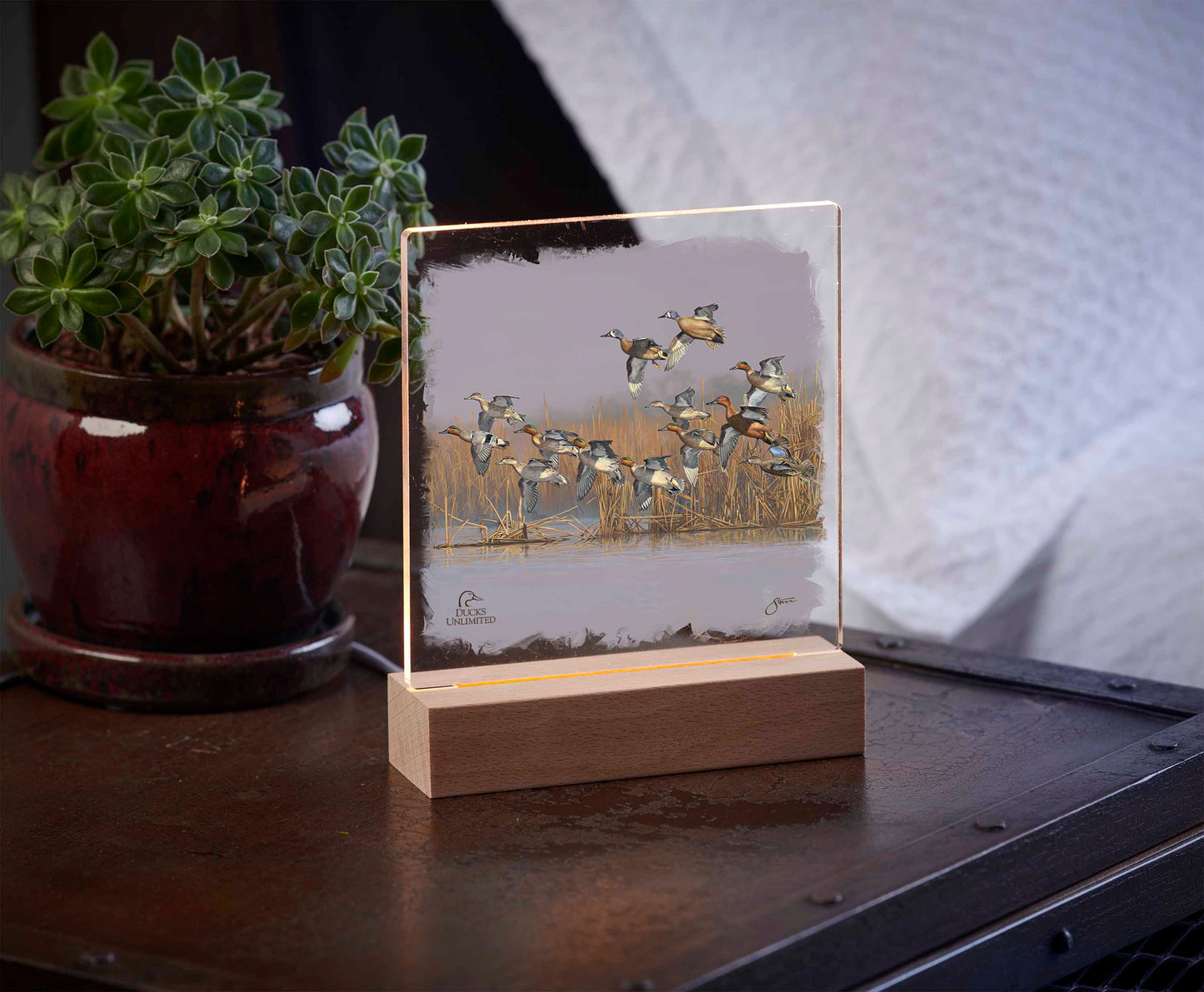 Teal Time Acrylic Night Light - Official Ducks Unlimited Art