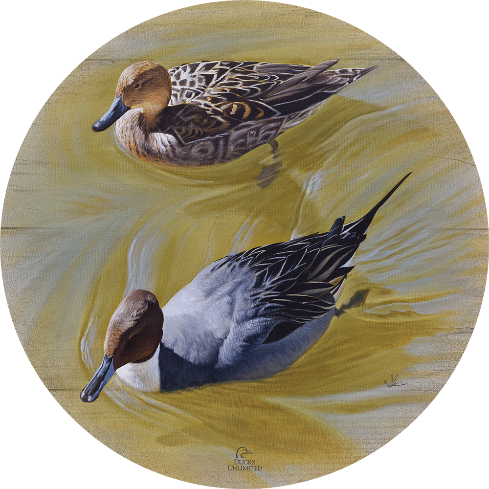 The Color of Yellow - 21" Round Wood Sign - Official Ducks Unlimited Art