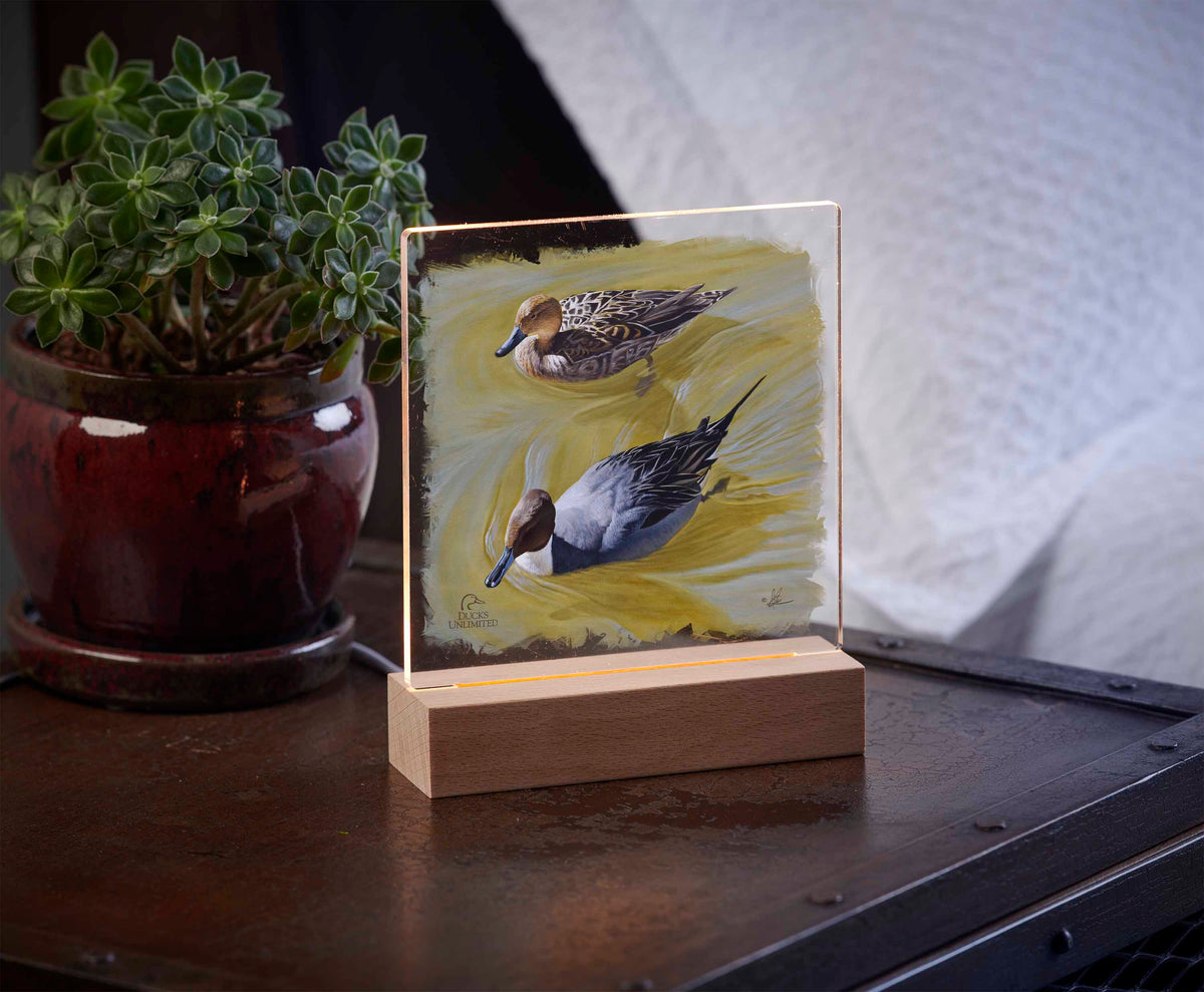 The Color of Yellow - 6.37" x 6" Acrylic Night Light - Official Ducks Unlimited Art