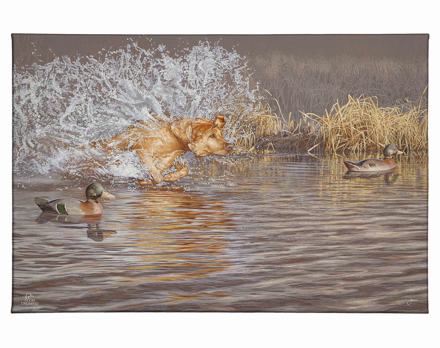 Time to Shine Gallery Wrapped Canvas - Official Ducks Unlimited Art
