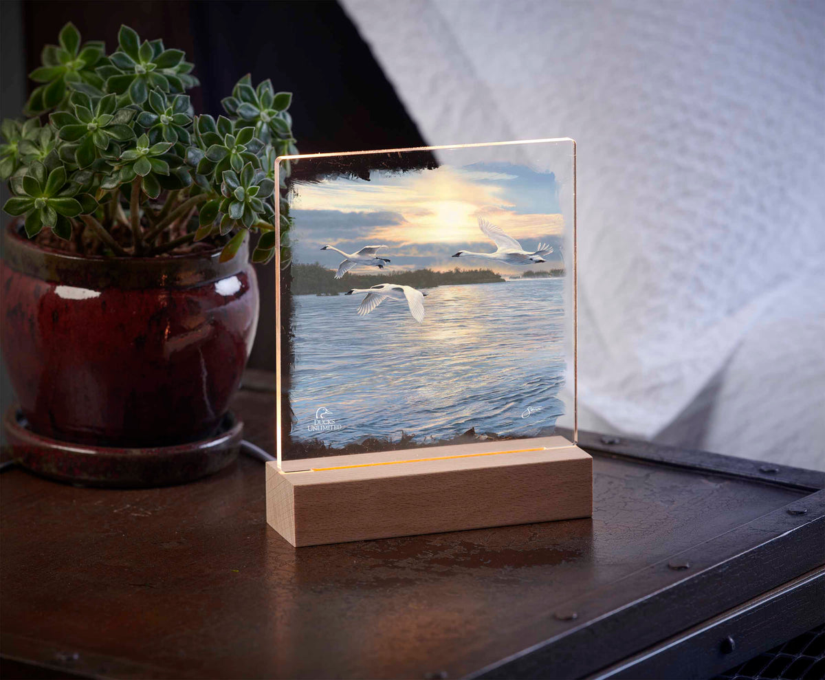 Trumpts at Sunset - 6.37" x 6" Acrylic Night Light - Official Ducks Unlimited Art
