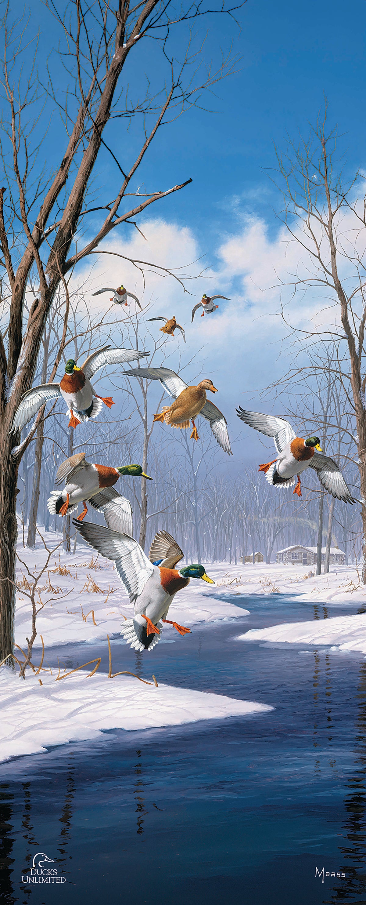 Winter Wonder- Mallards - 12" x 30" Wood Sign - Official Ducks Unlimited Art