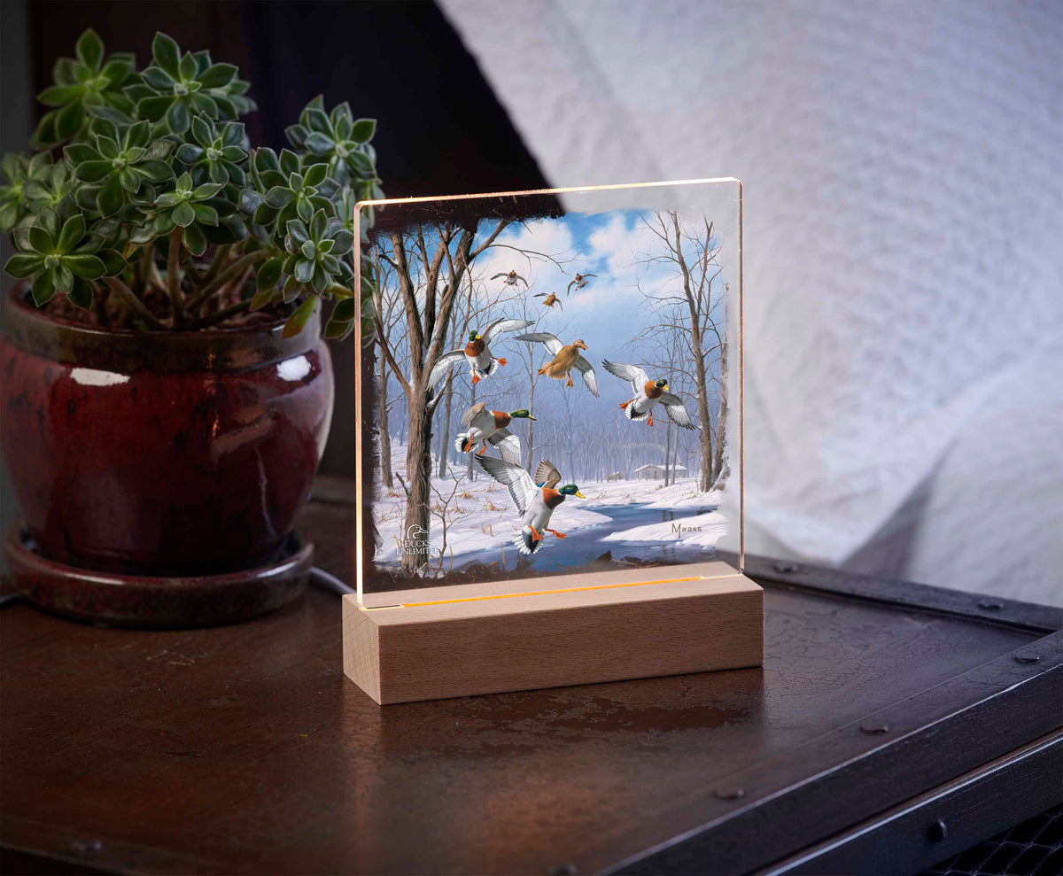 Winter Wonder- Mallards - 6.37" x 6" Acrylic Night Light - Official Ducks Unlimited Art