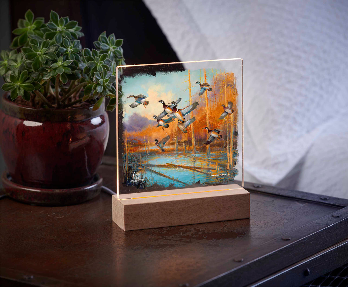 Wood Ducks - 6.37" x 6" Acrylic Night Light - Official Ducks Unlimited Art