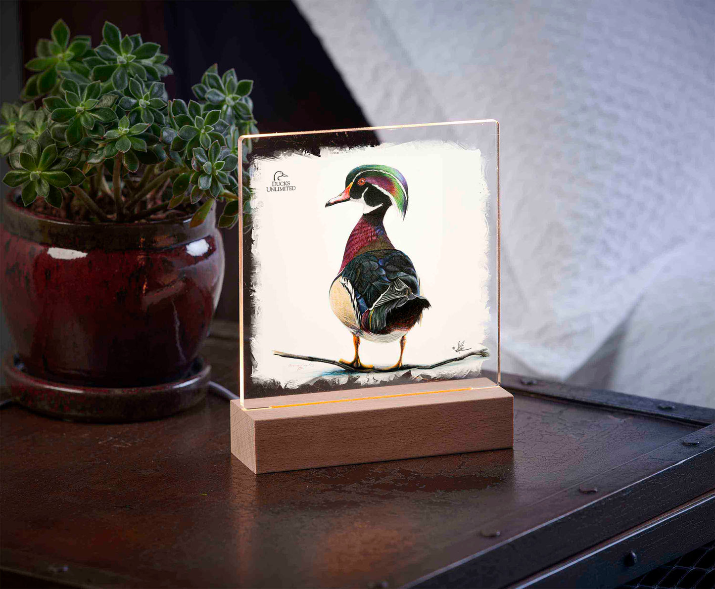 Woody 6.37" x 6" Acrylic Nightlights - Official Ducks Unlimited Art