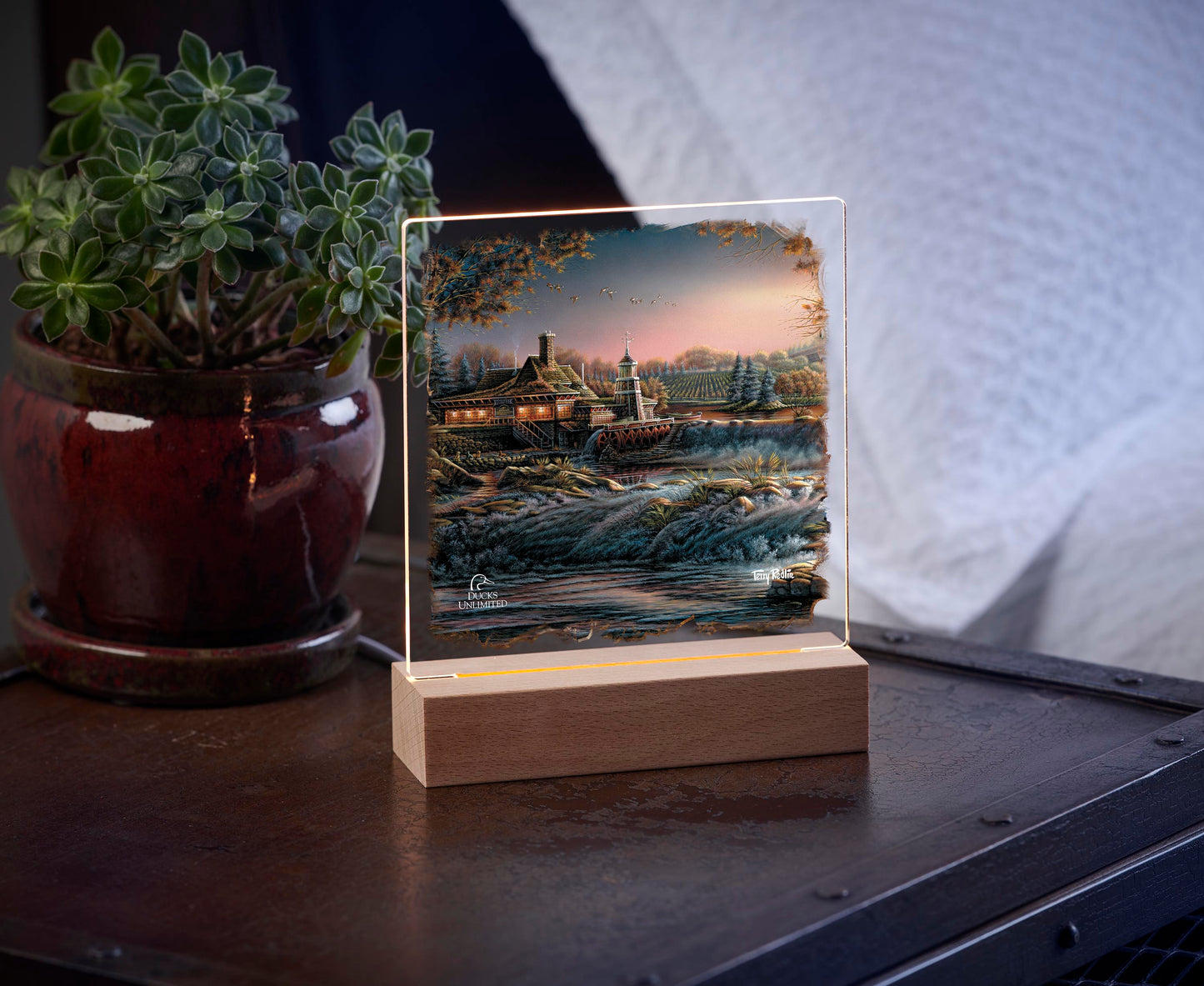 Guardian of Conservation Acrylic Night Light - Official Ducks Unlimited Art