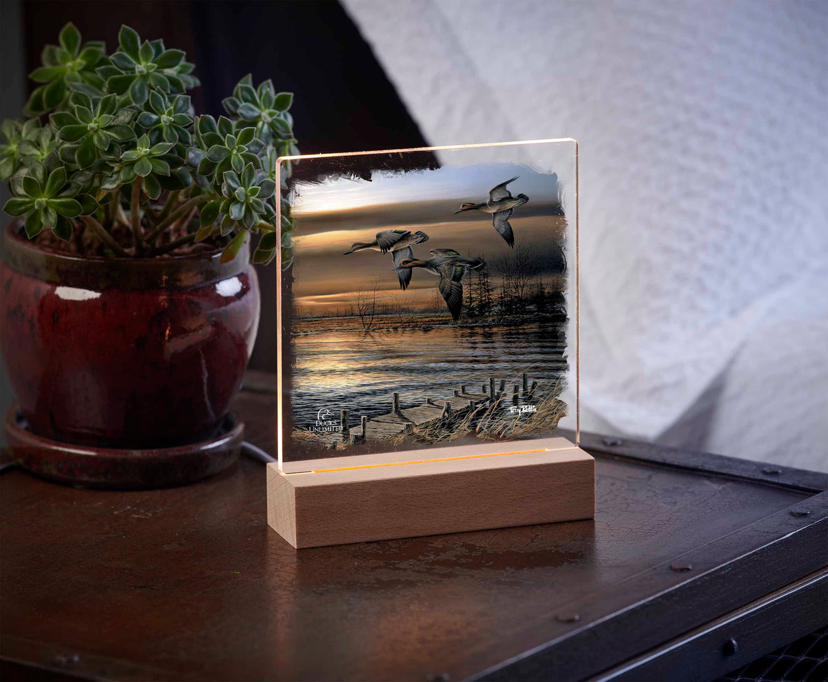 Reflections - Green - winged Teal 6.37" x 6" Acrylic Night Light - Official Ducks Unlimited Art