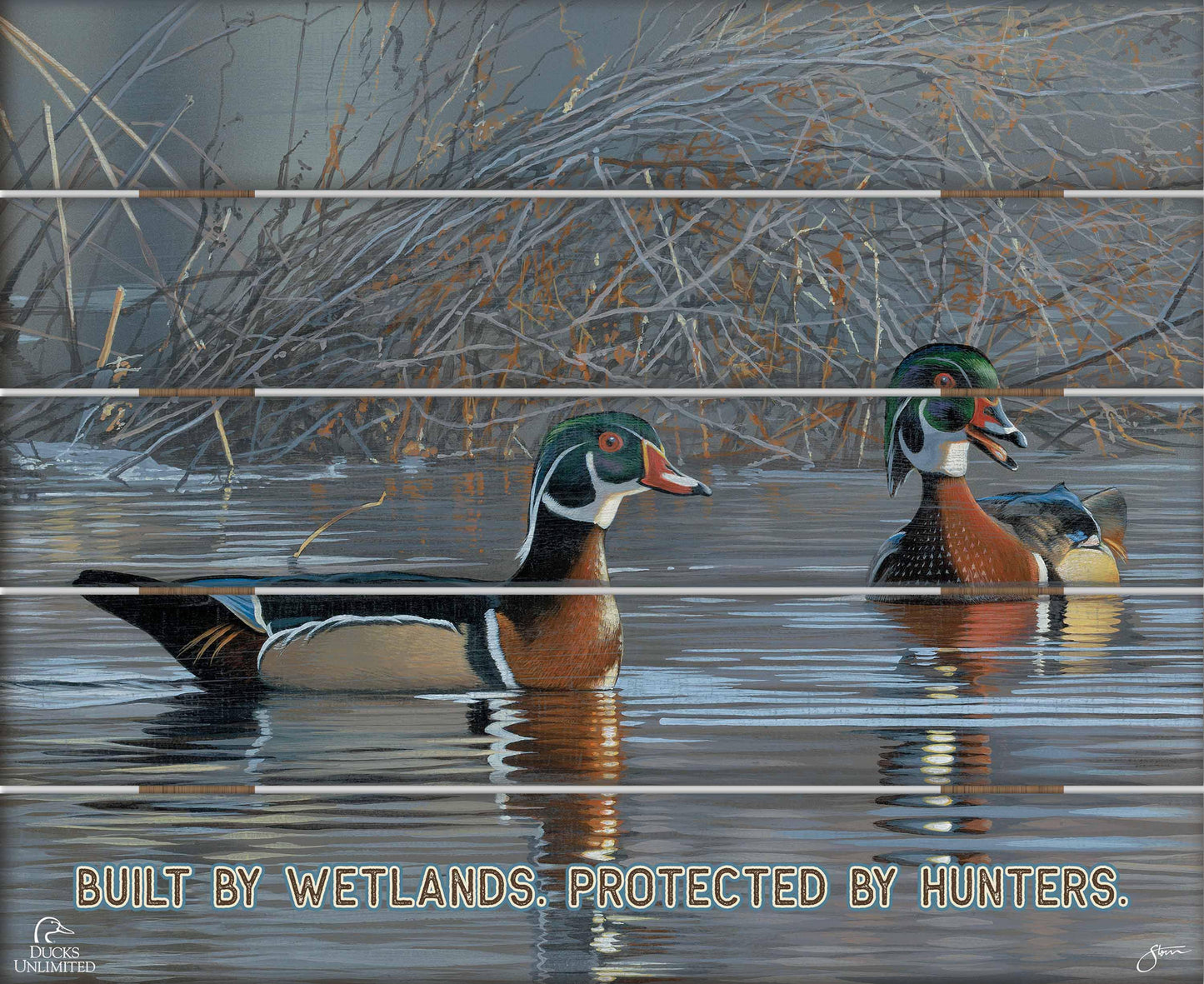 Springtime Chatter Wood Ducks "Marsh rules: Watch first. Call second." 18" x 22" Pallet Wall Art - Official Ducks Unlimited Art