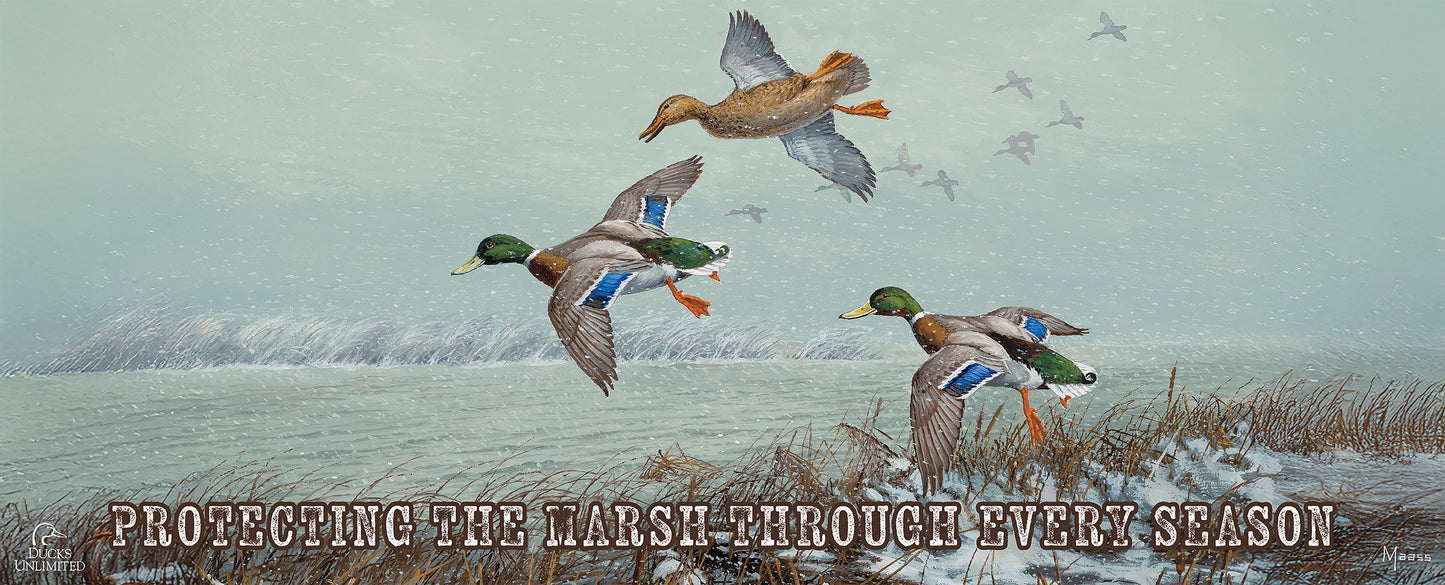 Finding Open Water Mallards "Protecting the Marsh Through Every Season" 12" x 30" Wood Sign - Official Ducks Unlimited Art