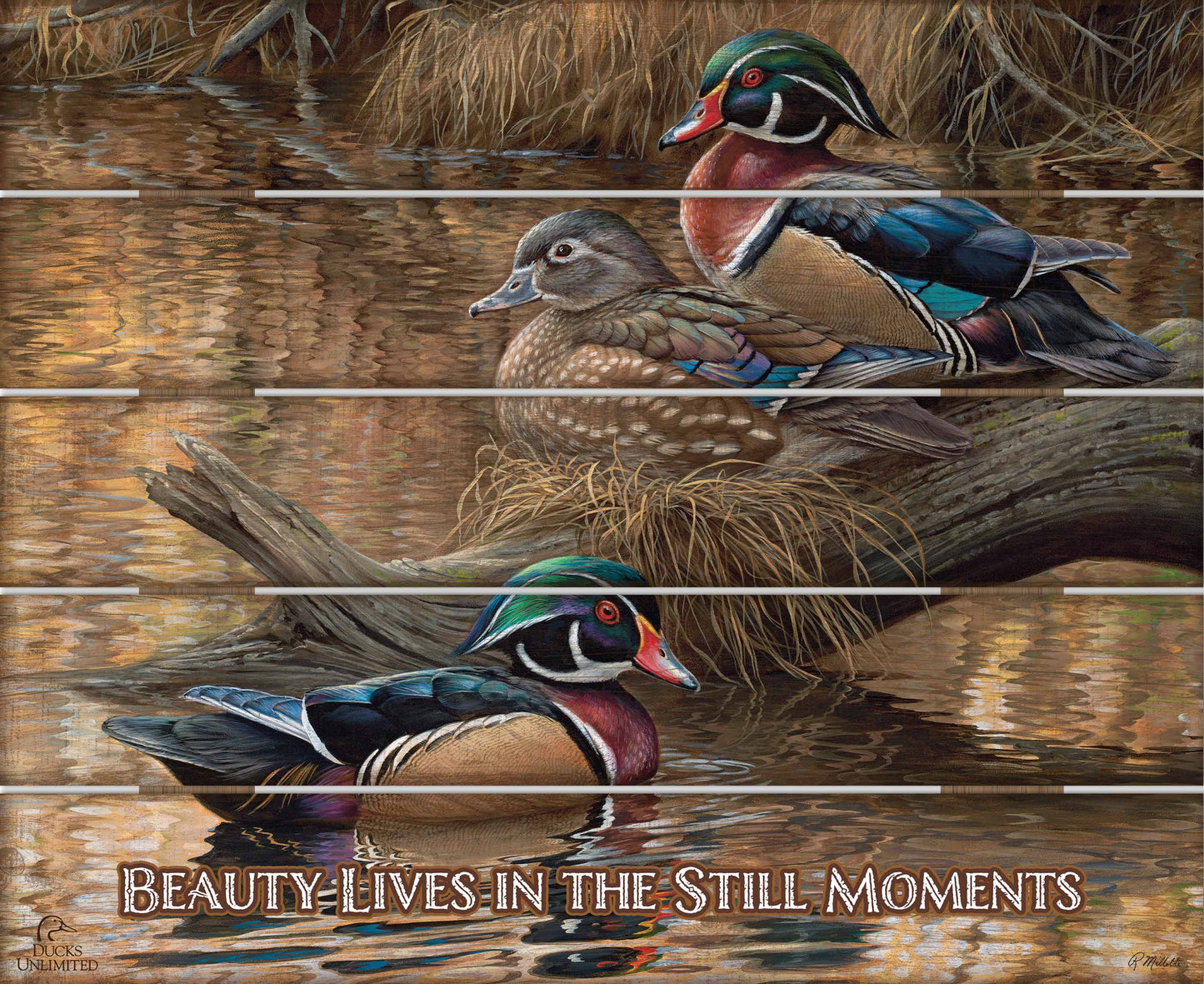 Sitting Pretty Wood Ducks "Beauty Lives in the Still Moments" 18" x 22" Pallet Wall Art - Official Ducks Unlimited Art