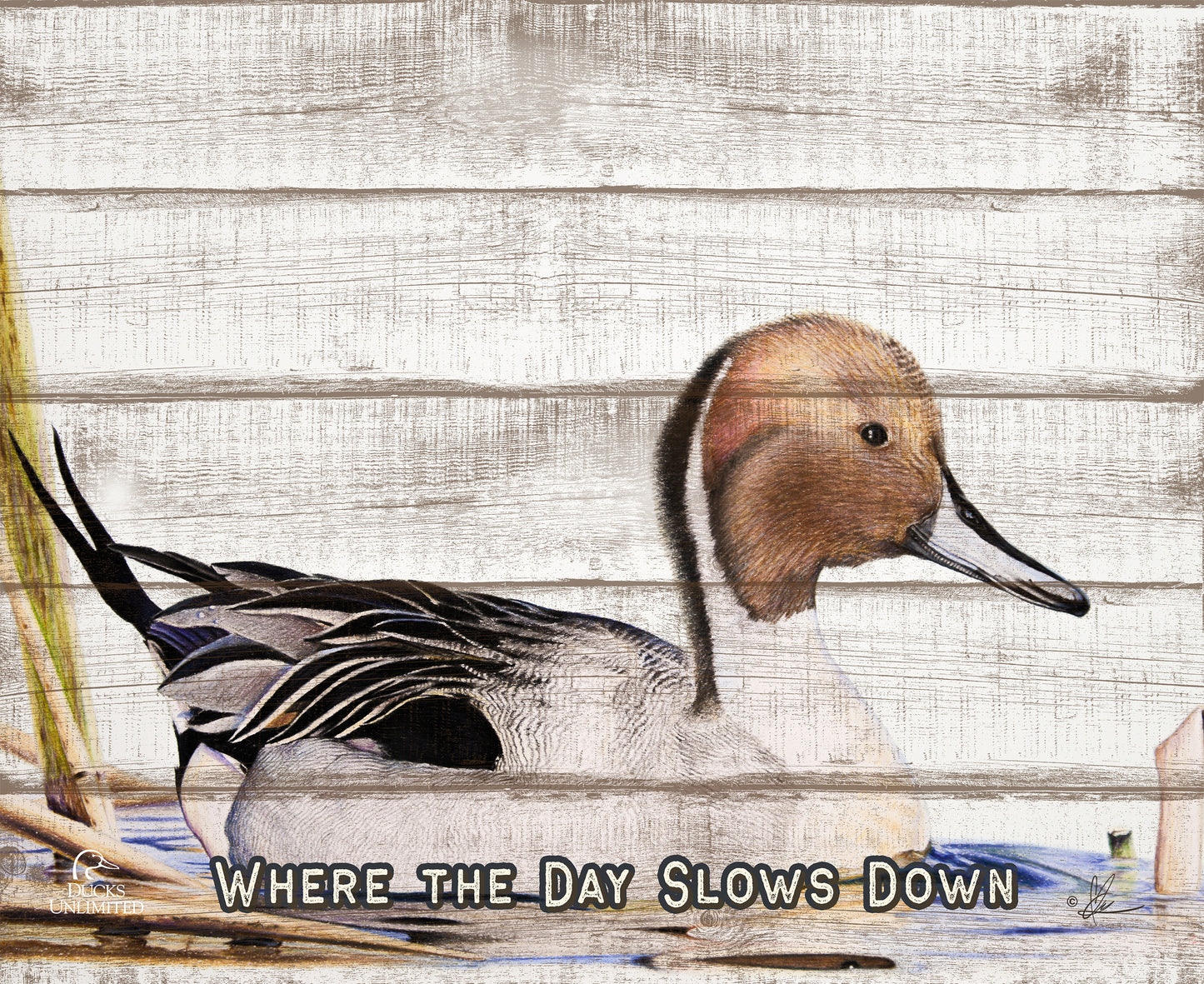 Pintail "Where the Day Slows Down." 18" x 22" Pallet Wall Art - Official Ducks Unlimited Art