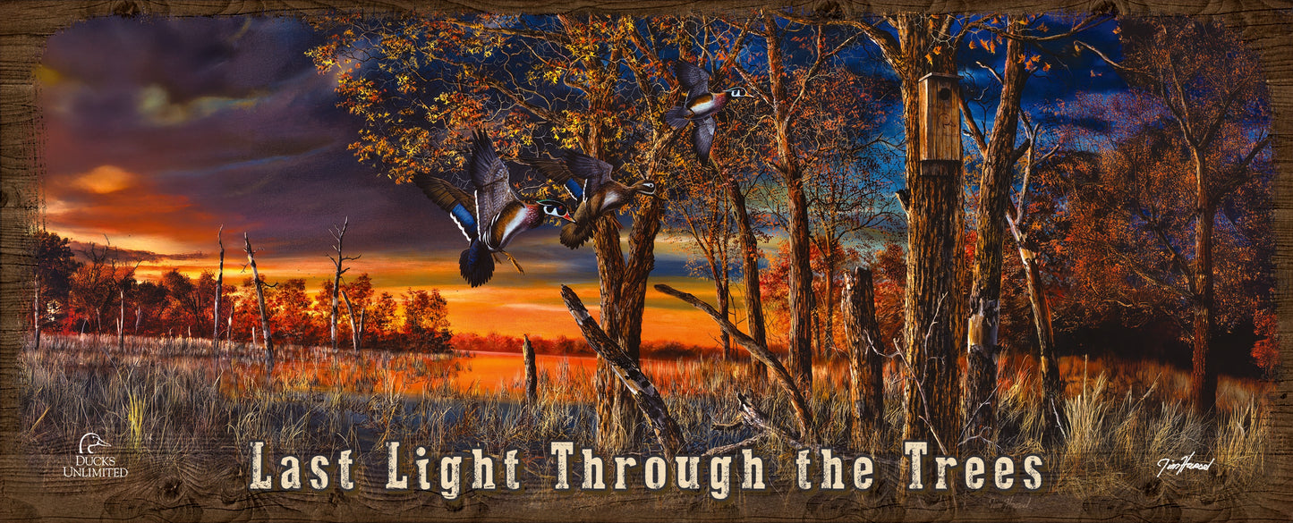 Return to the Refuge "Last Light Through the Trees." 12" x 30" Wood Sign - Official Ducks Unlimited Art