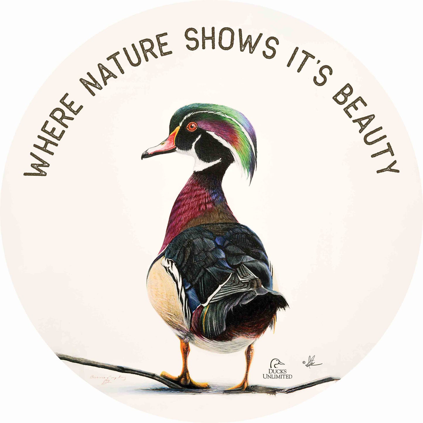Woody “Where Nature Shows Its Beauty.” 21" Round Wood Sign - Official Ducks Unlimited Art