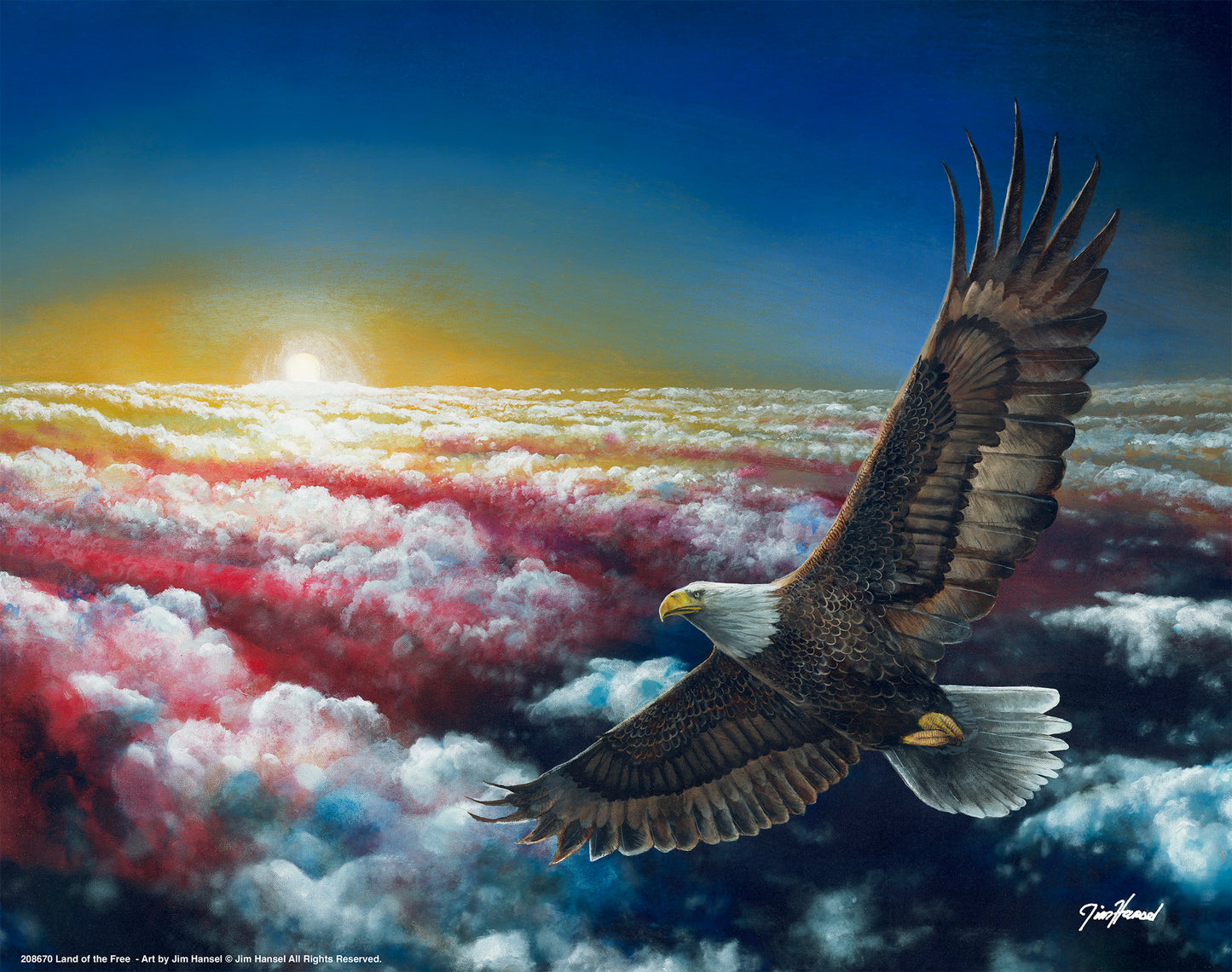 Land Of The Free - Art Prints
