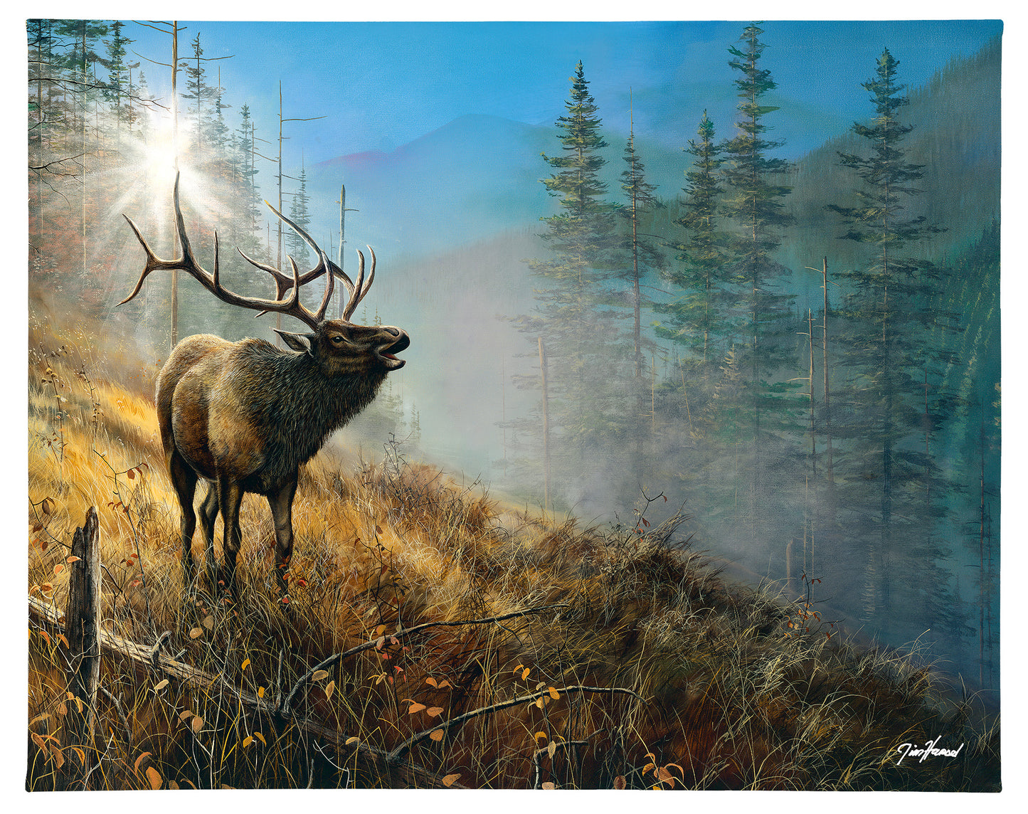 Song in the Mist - 11" x 14" Gallery Wrapped Canvas