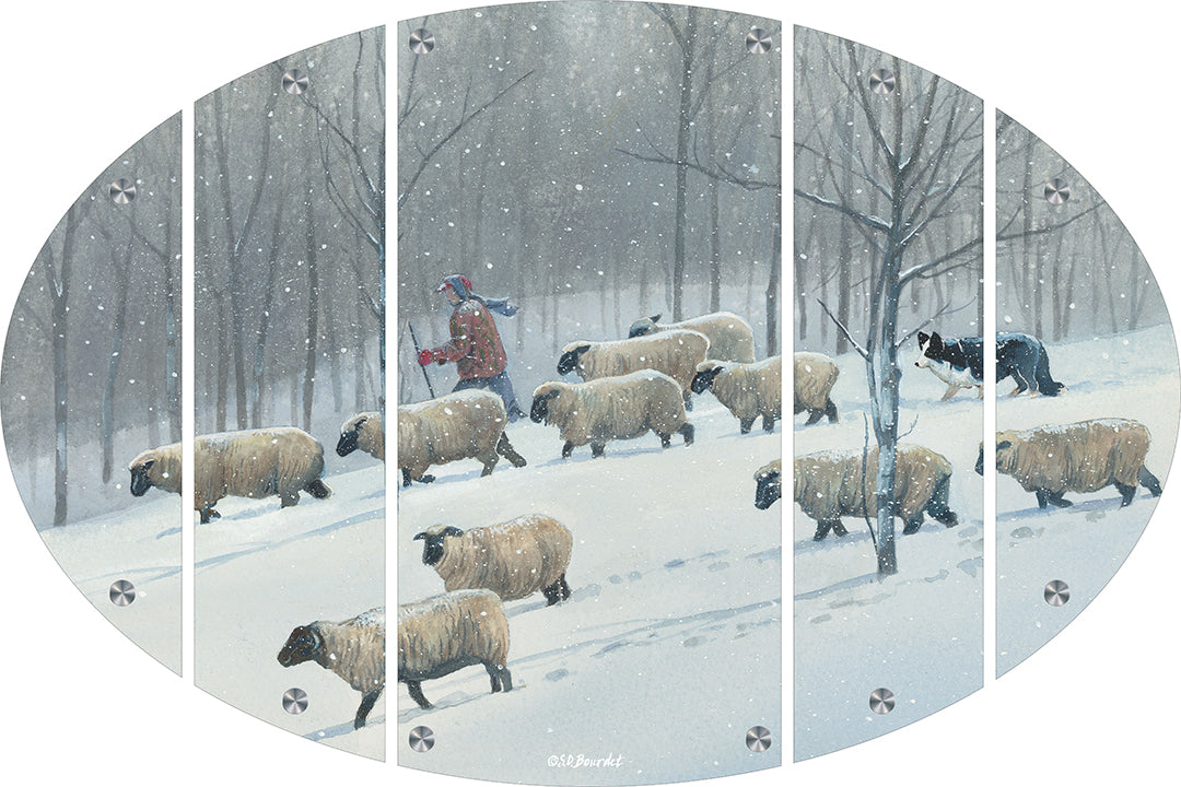 Ahead of the blizzard - Sheep Acrylic Wall Art & Home Decor