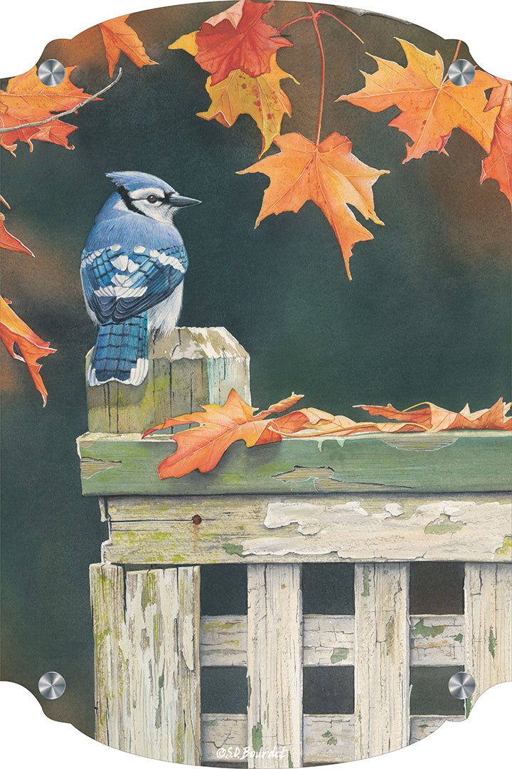 Autumn Splendor Blue Jay Acrylic Wall Art & Home Decor