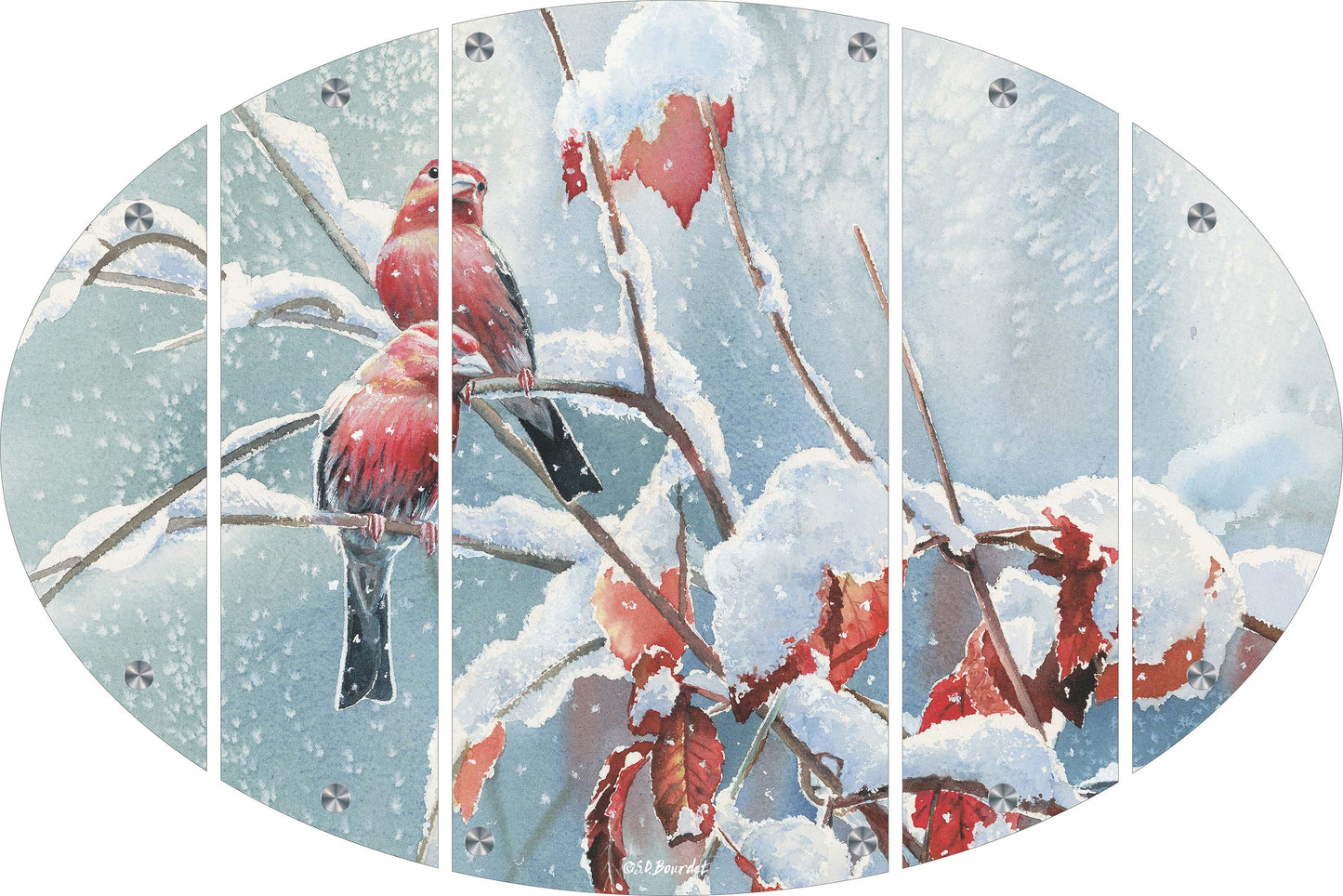 Blizzard House Finches Acrylic Wall Art & Home Decor