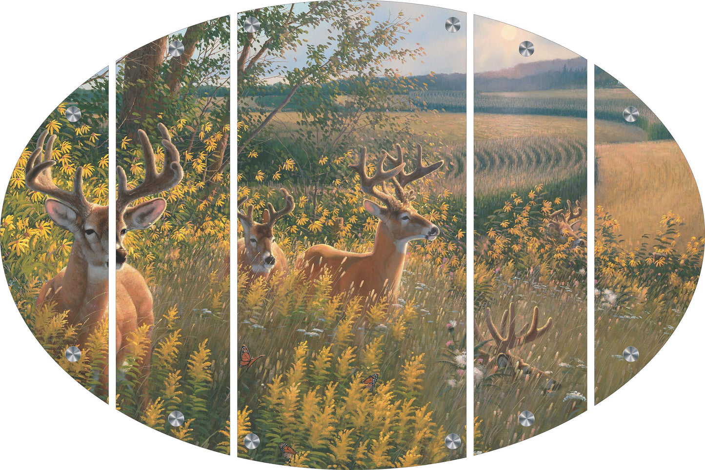 Boys of Summer Whitetail Deer Acrylic Wall Art & Home Decor
