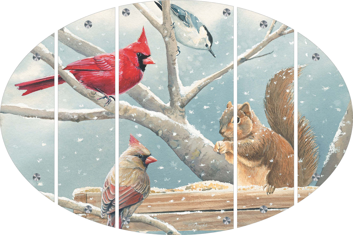 Breakfast Meeting Cardinals and Squirrel Acrylic Wall Art & Home Decor