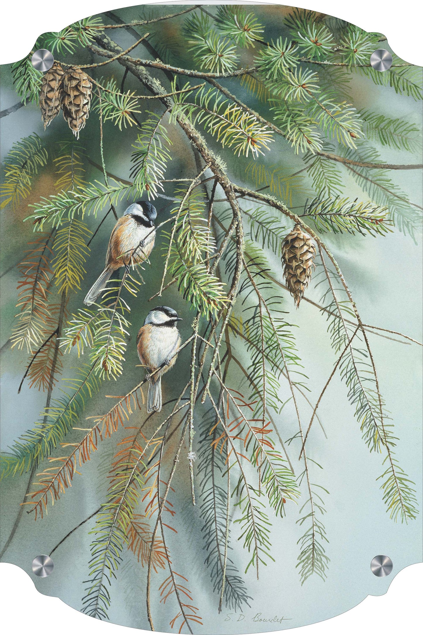 Chickadees in Fir Acrylic Wall Art & Home Decor
