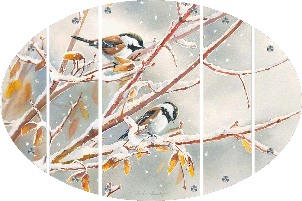 Early Snowfall - Chestnut Backed Chickadees Acrylic Wall Art & Home Decor