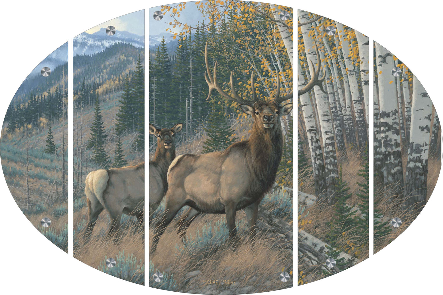 Eastern Slope - Elk Acrylic Wall Art & Home Decor