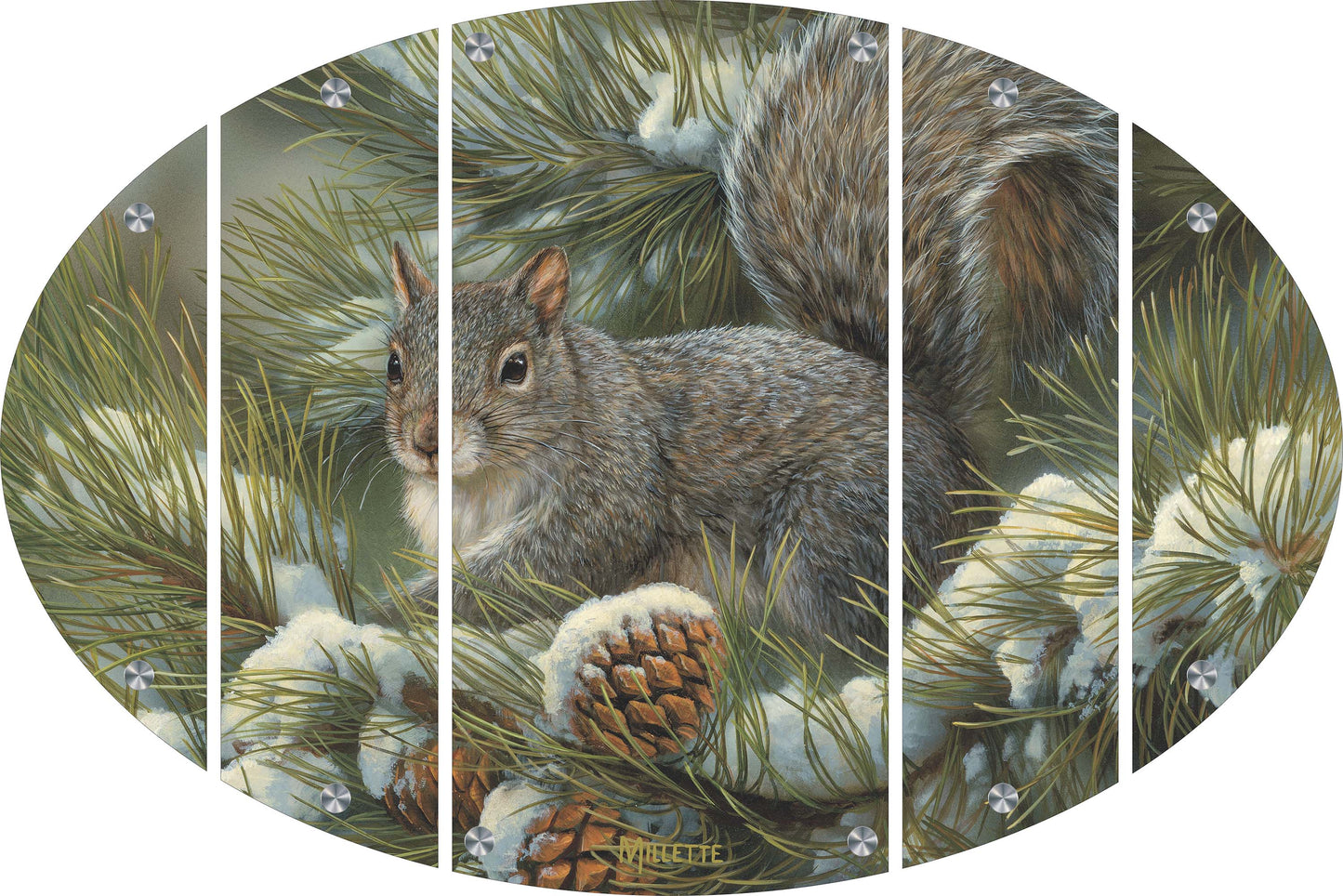 Gray Squirrel Acrylic Wall Art & Home Decor