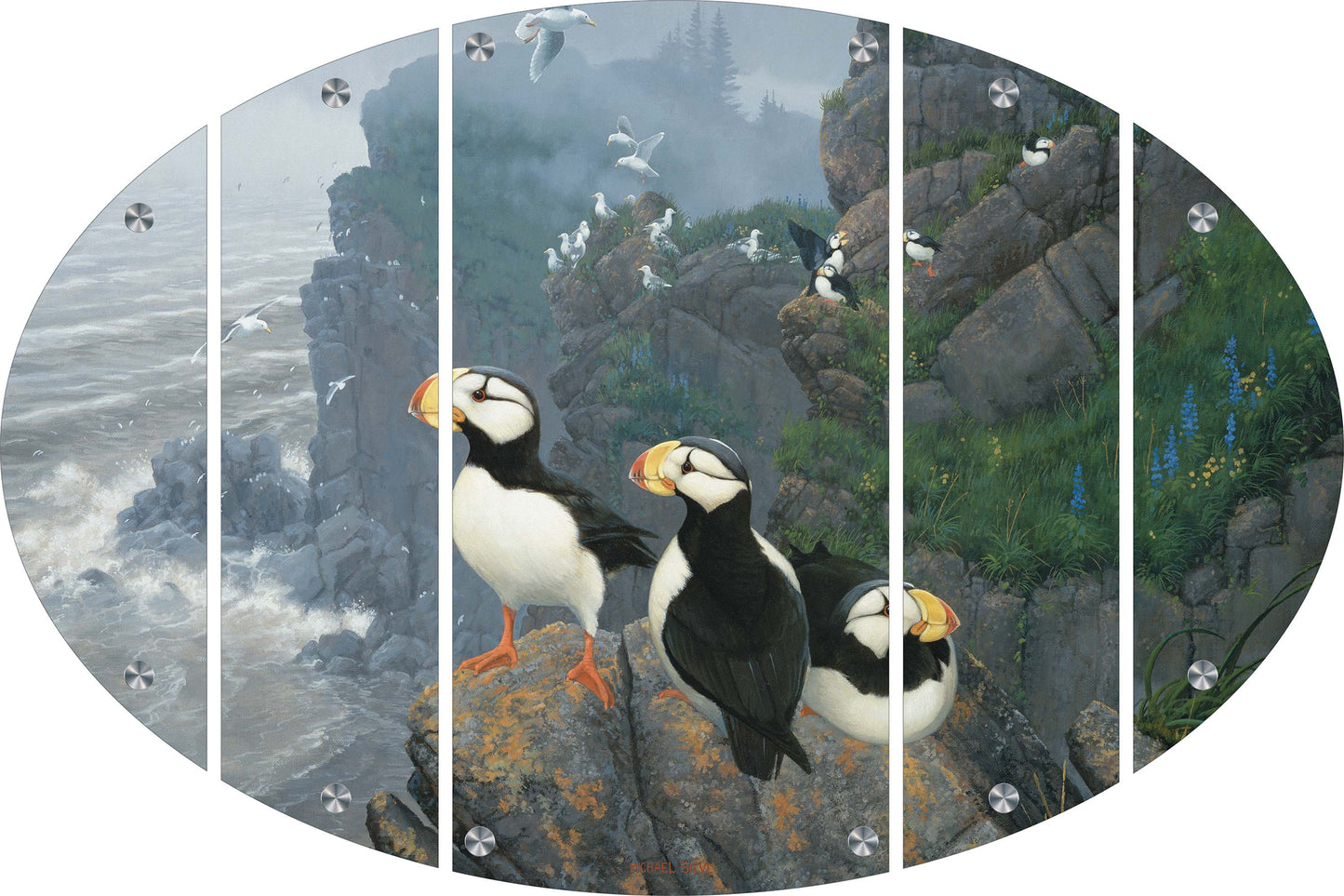 Kodiak Coast-Puffins Acrylic Wall Art & Home Decor