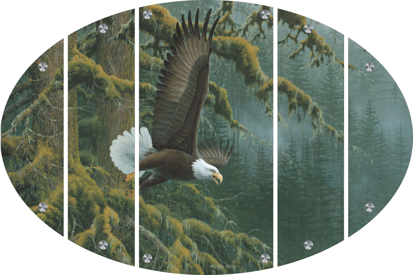 Misty Forest - Bald Eagle Acrylic Wall Art & Home Decor