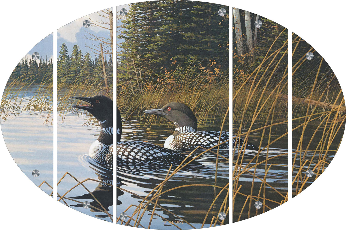 Northern Song Common Loons Acrylic Wall Art & Home Decor