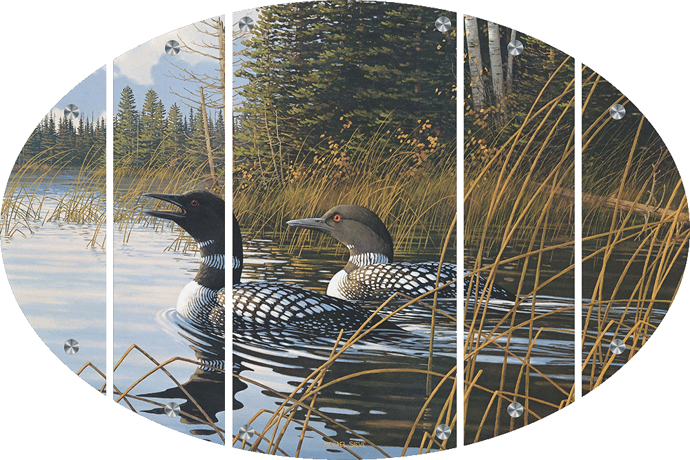Northern Song Common Loons Acrylic Wall Art & Home Decor