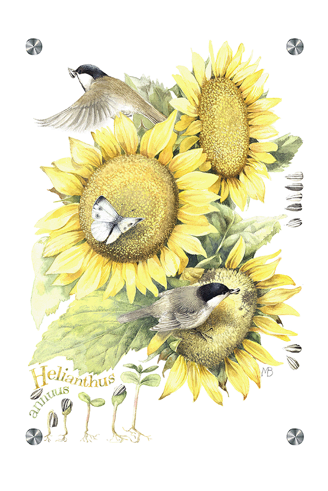 Summer Buffet Acrylic Wall Art & Home Decor