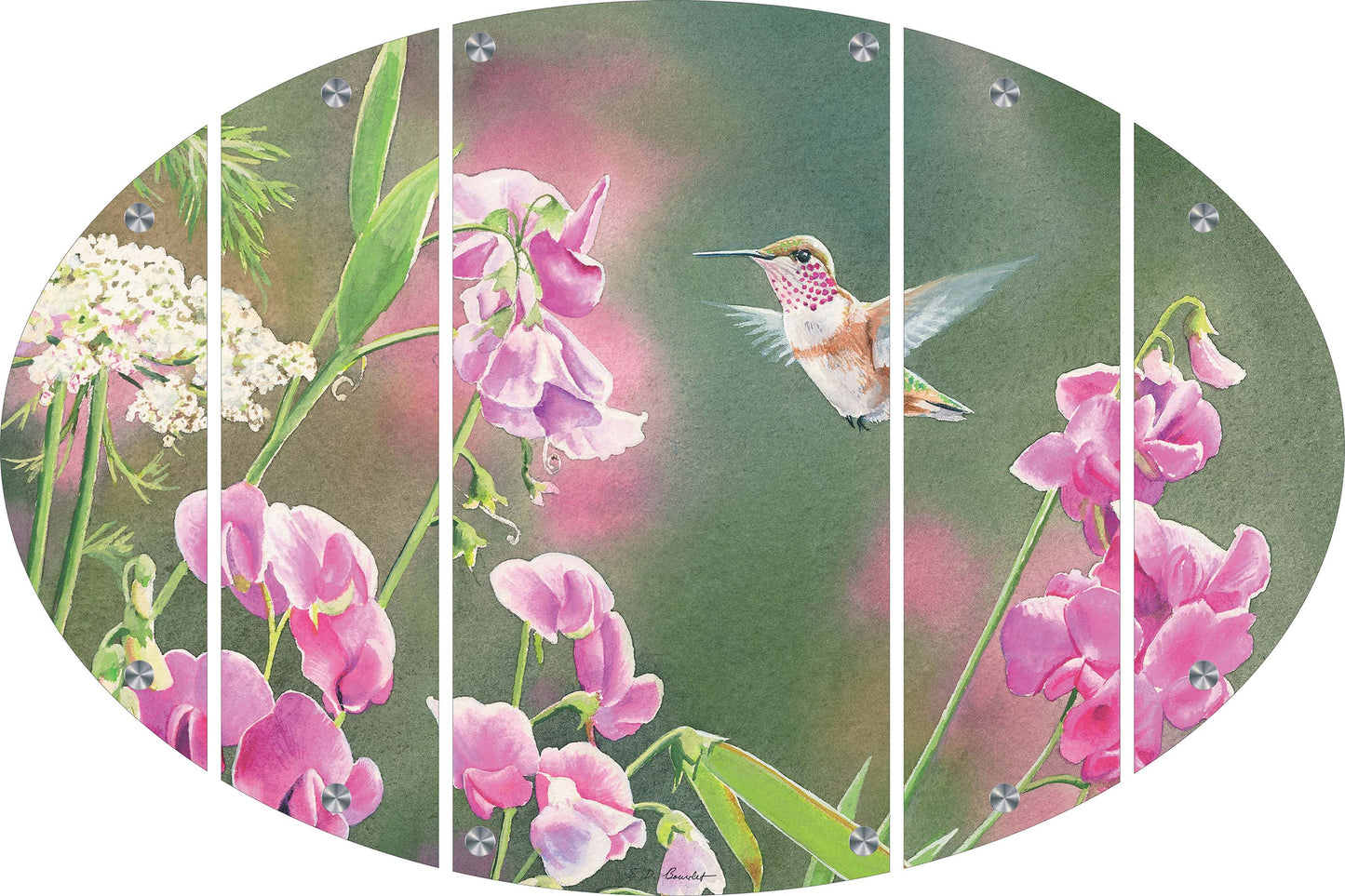 White Sweet Pea Humming Bird Acrylic Wall Art & Home Decor