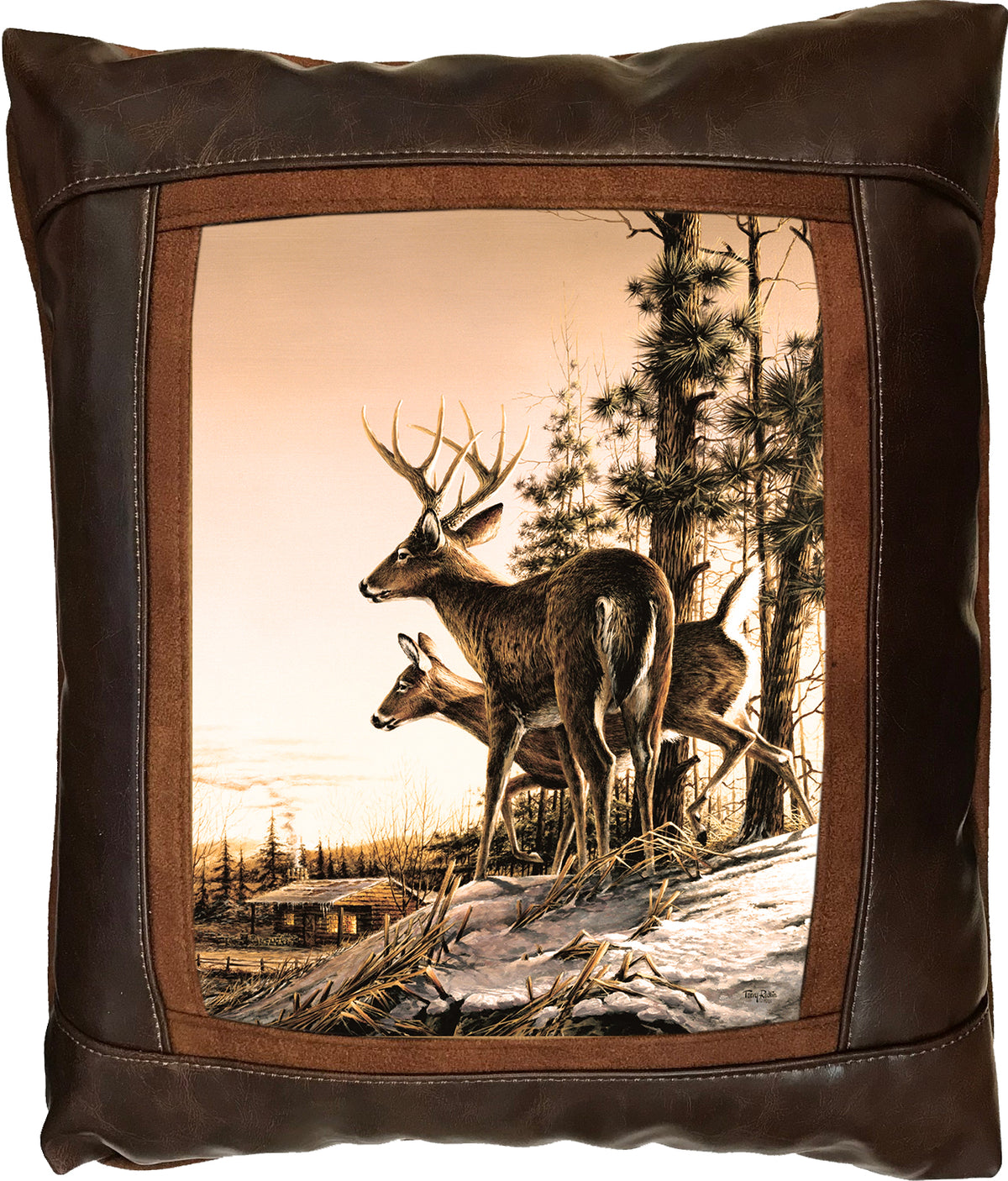 All Clear - 15" x 17" Leather Pillow