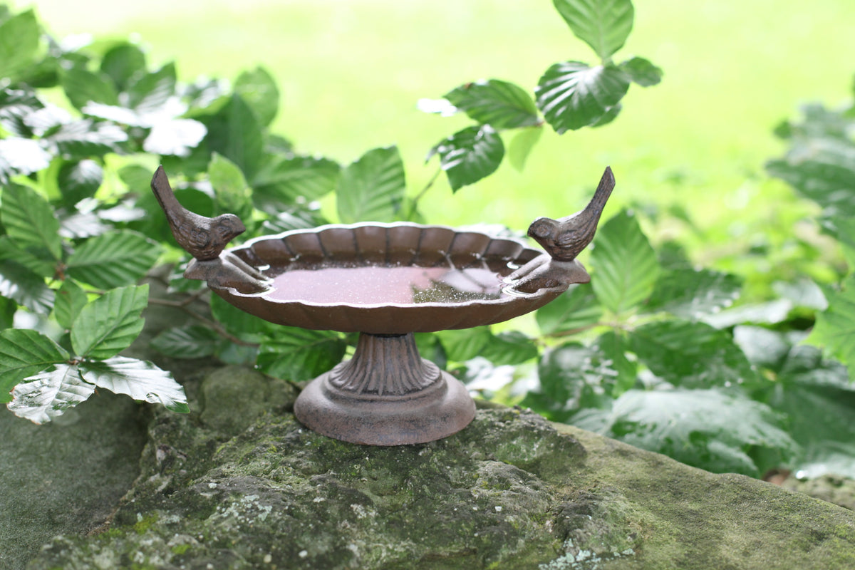 Bird Bath w/Decorative birds - Cast Iron