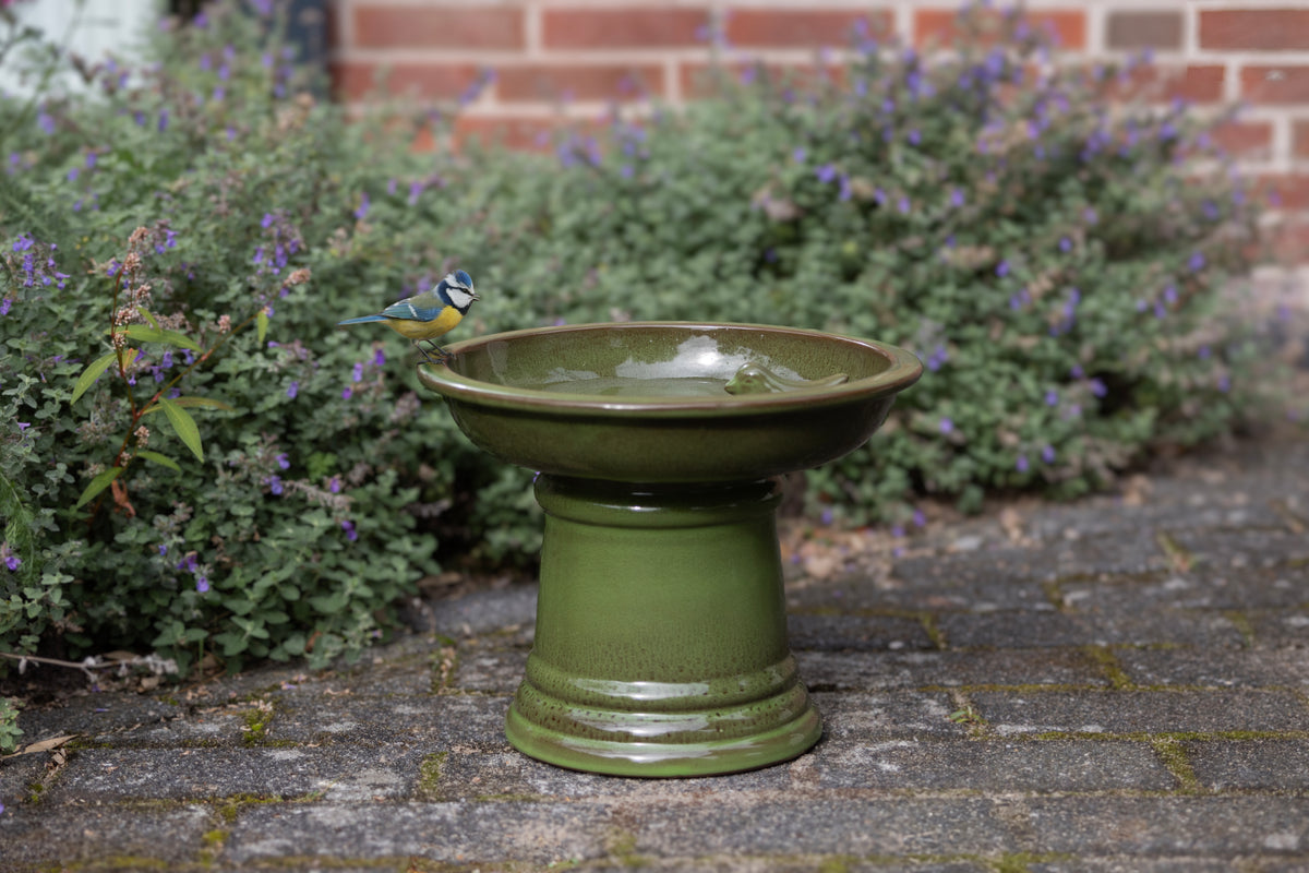 Bird Bath on Pedistal (Ceramic, Green)