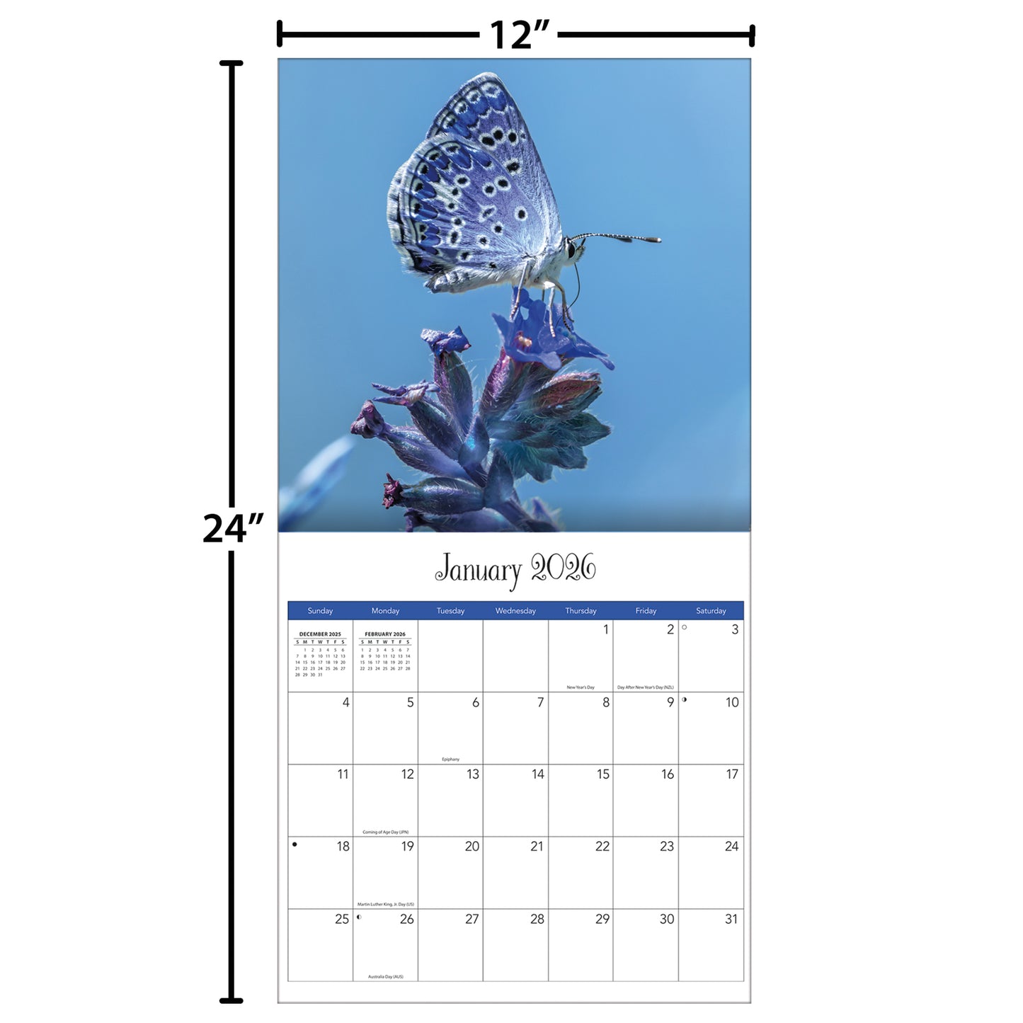 Butterflies 12" x 12" - Photo Wall Calendar