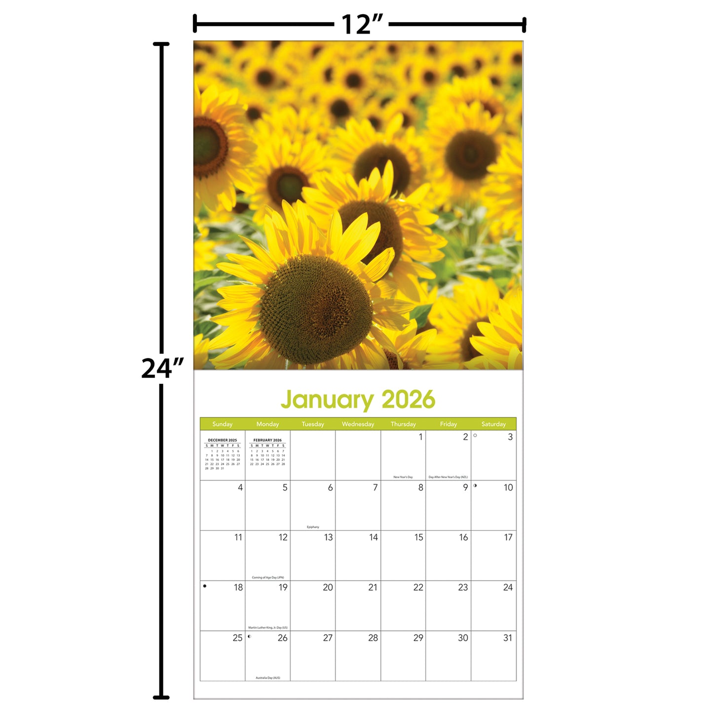 Sunflowers 12" x 12" - Photo Wall Calendar