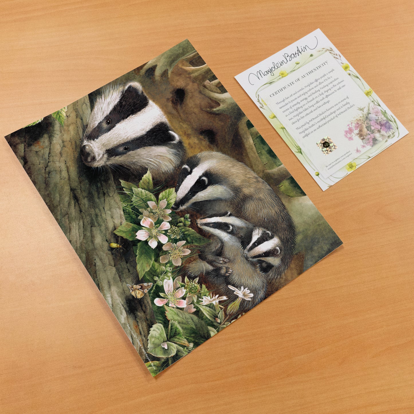 Badger Family - Art Prints