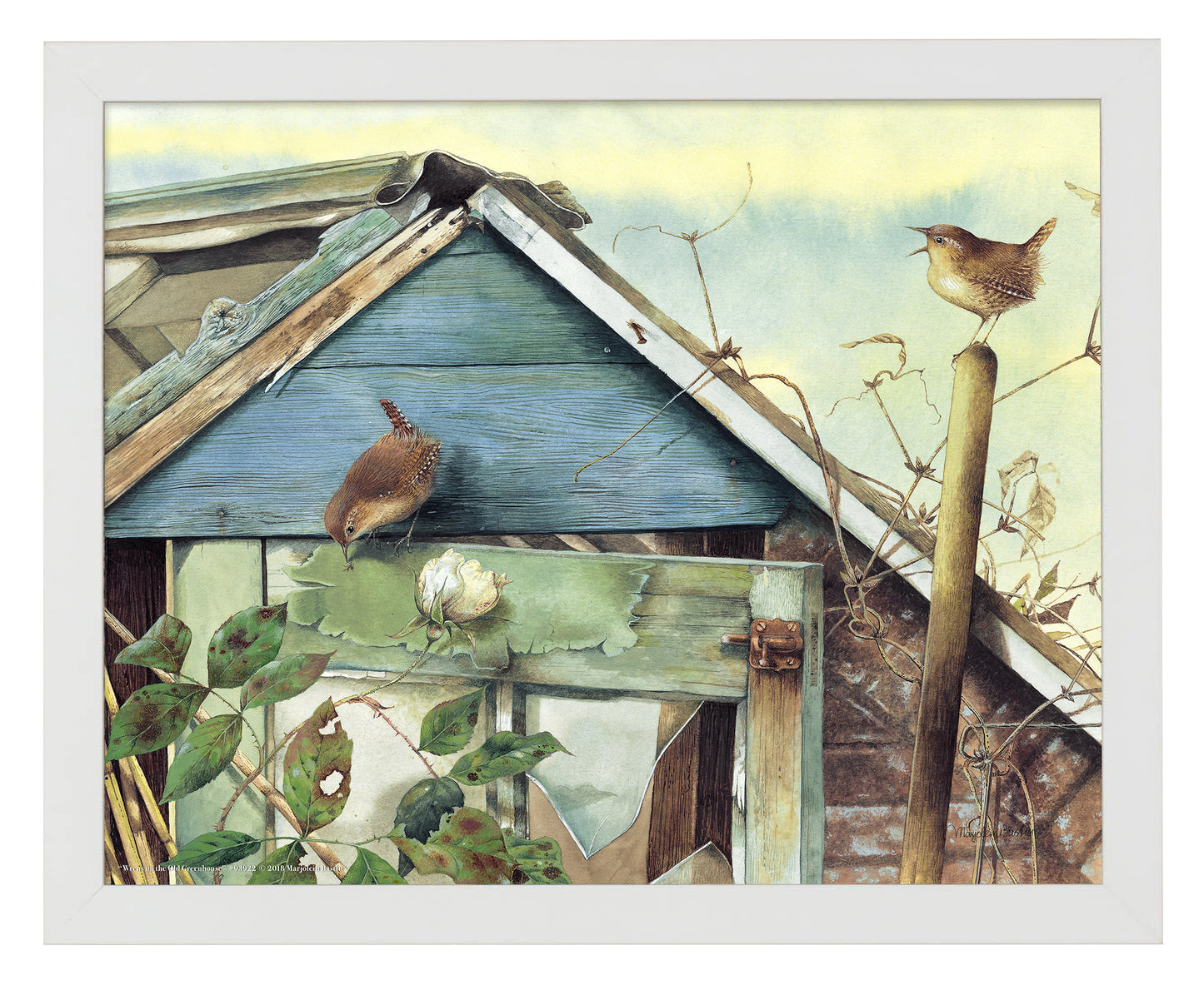 Wrens on the Old Greenhouse - Art Prints