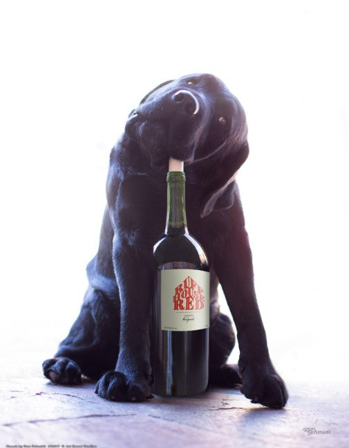 Hooch 11" x 14" - Art Prints