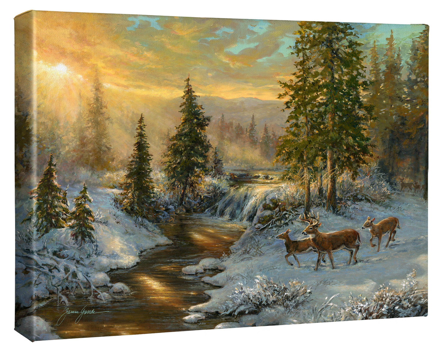 Animals Collection - Gallery Wrapped Canvas
