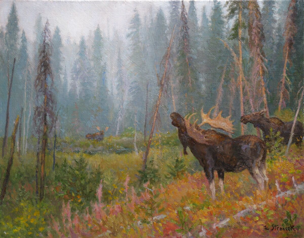 Autumn Rivalry - Original Oil Painting