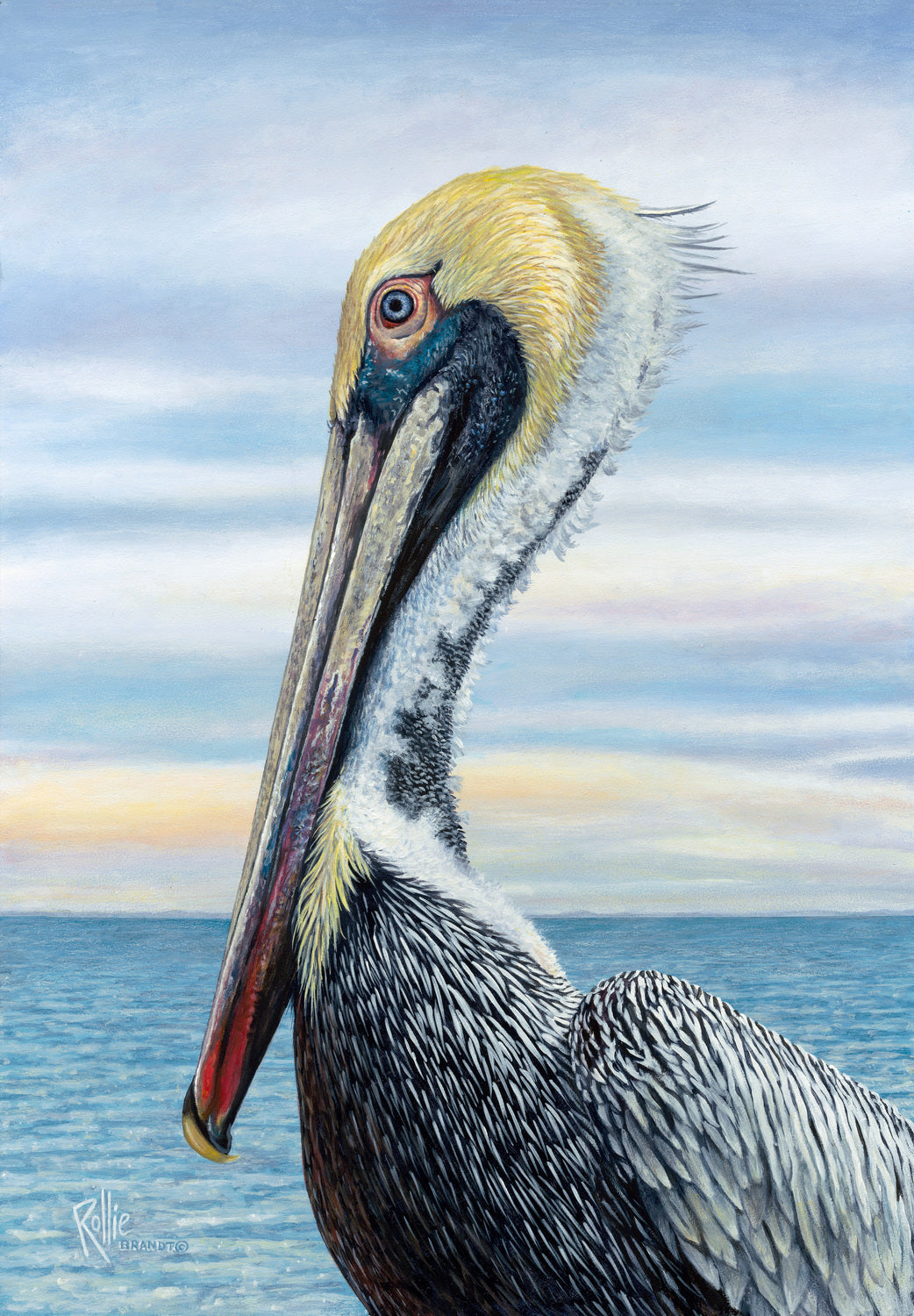 Big Bill - Brown Pelican - Original Acrylic Painting