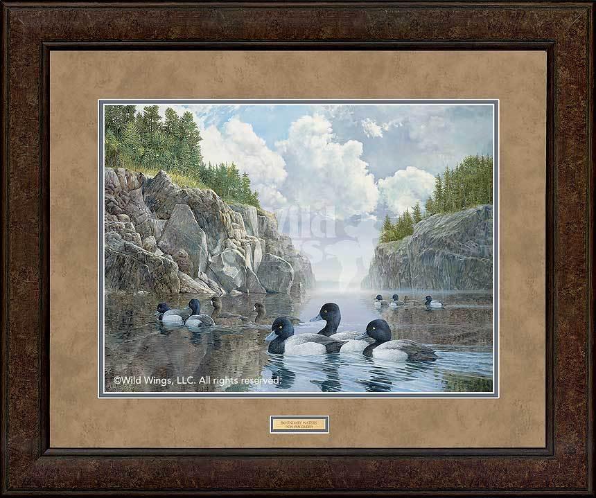 Boundary_Waters_Bluebills_Van_Gilder_EPR9131008Dd_24666a2e-84e7-45a6-bf55-57b37bbccd9d.jpg