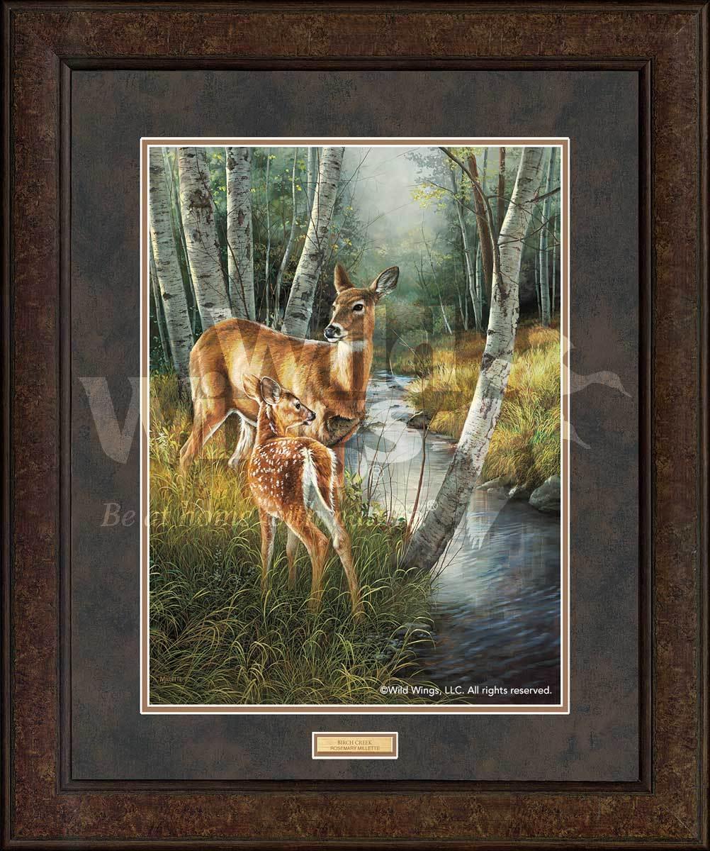 Birch Creek - Whitetail Deer - GNA Premium Print