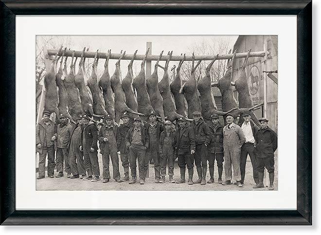 Deer Camp - Paper Print